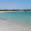 Spiaggia di Torre Guaceto