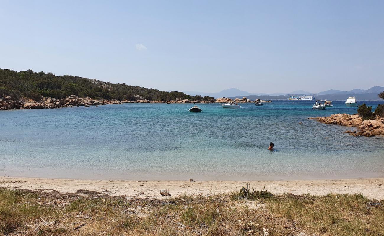 Foto af Spiaggia Laura med brunt sand overflade