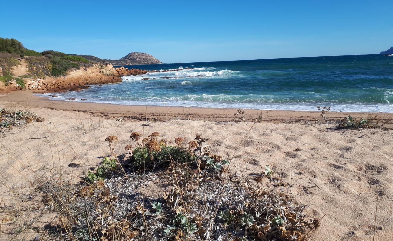 Foto af Spiaggia la Finosa med brunt sand overflade