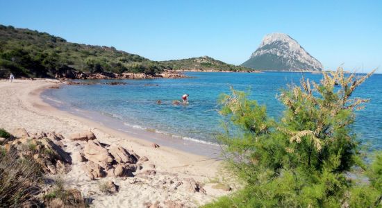 Costa Dorata Stranden