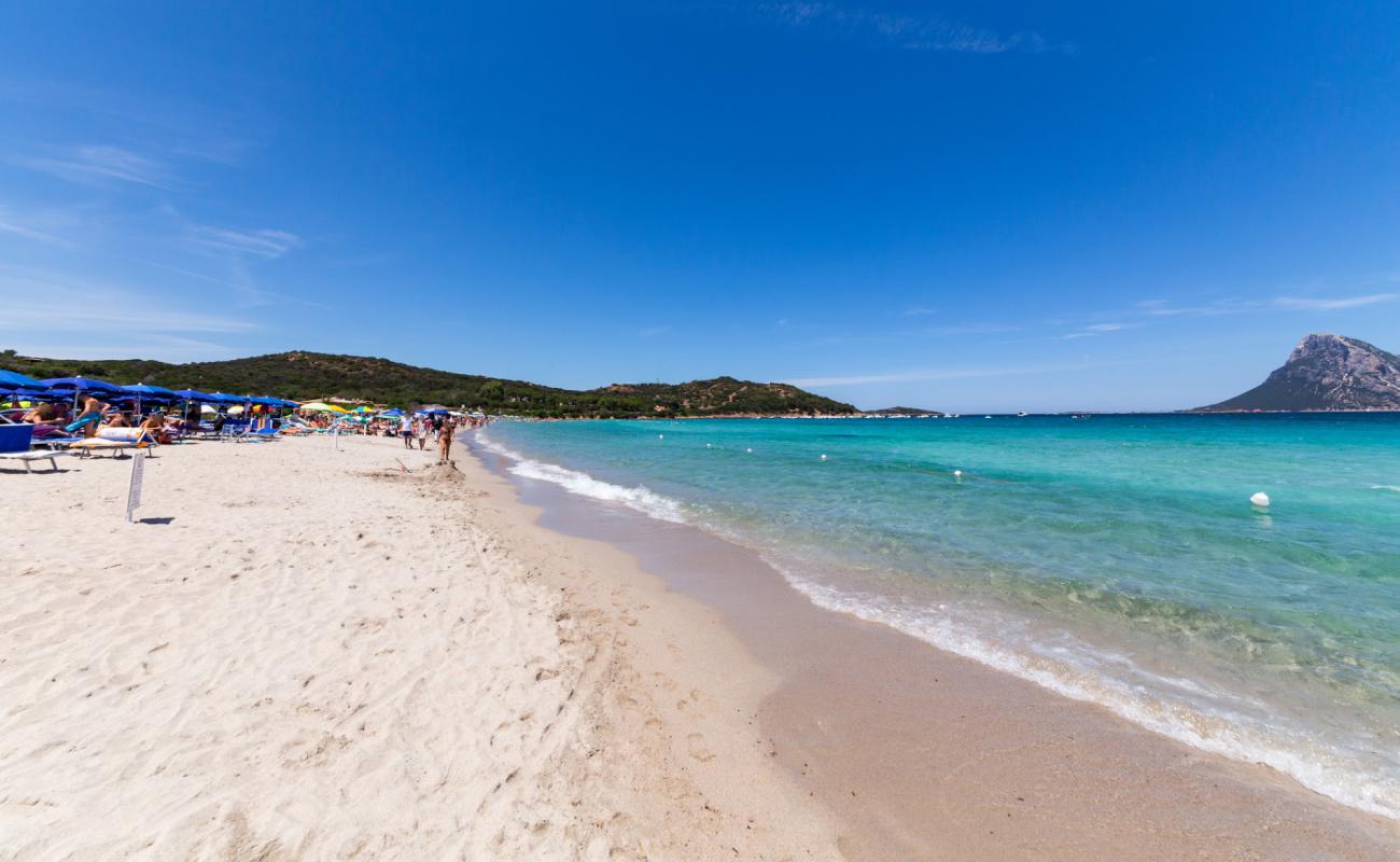 Foto af Porto Taverna Strand med lys fint sand overflade