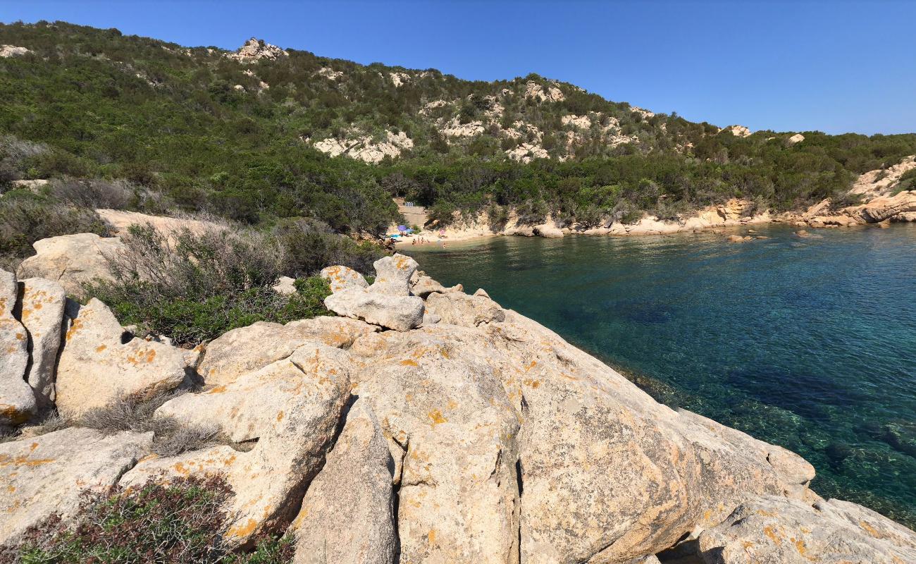 Foto af Punta Molara beach med lille bugt