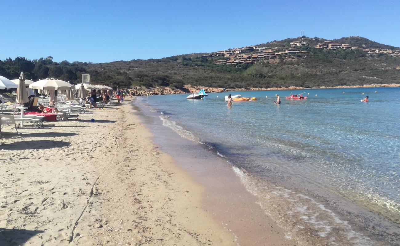 Foto af Capo Coda Cavallo Strand beliggende i naturområde