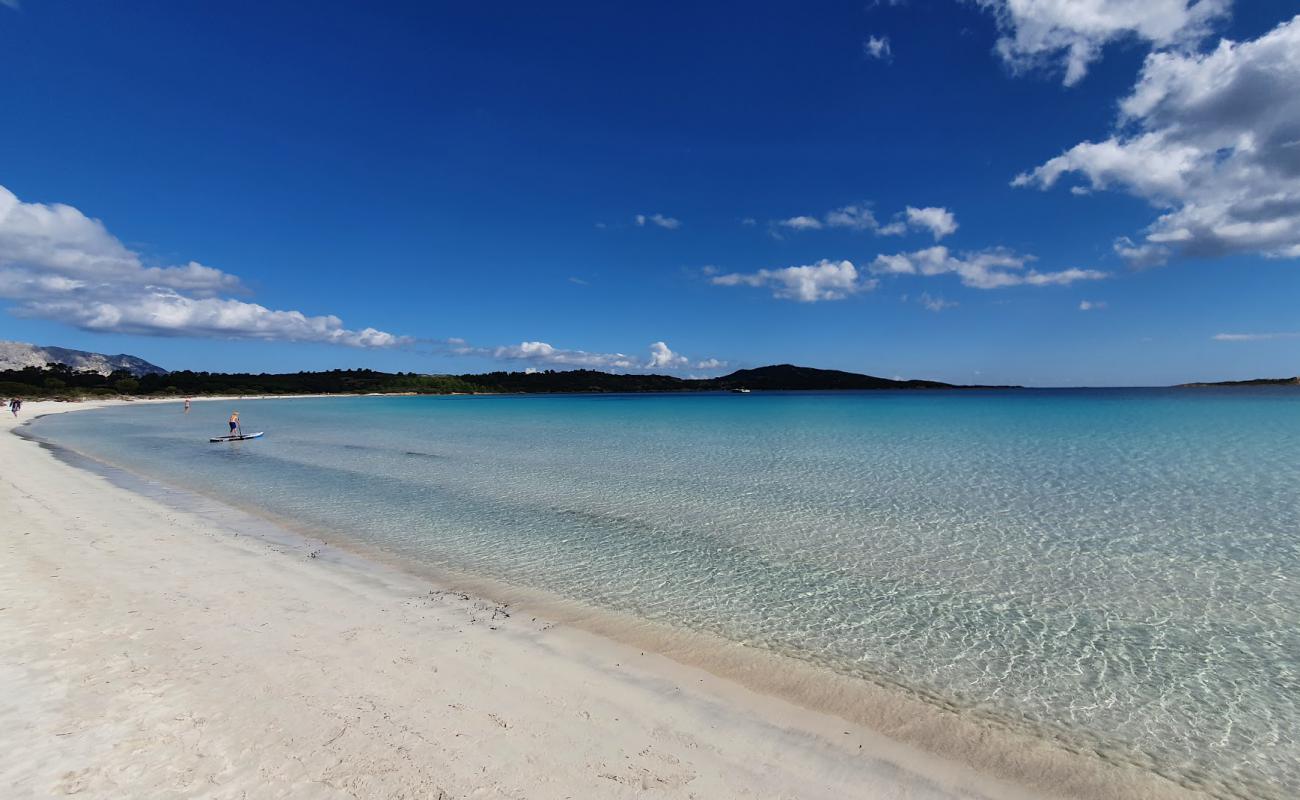 Foto af Stranden Cala Brandinchi med lys fint sand overflade