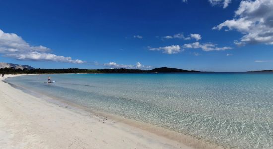 Stranden Cala Brandinchi