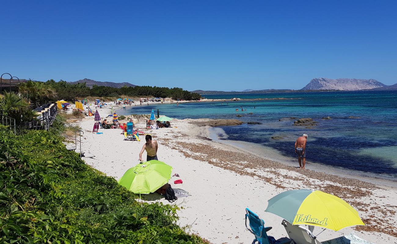 Foto af Cala d'Ambra med lys sand overflade