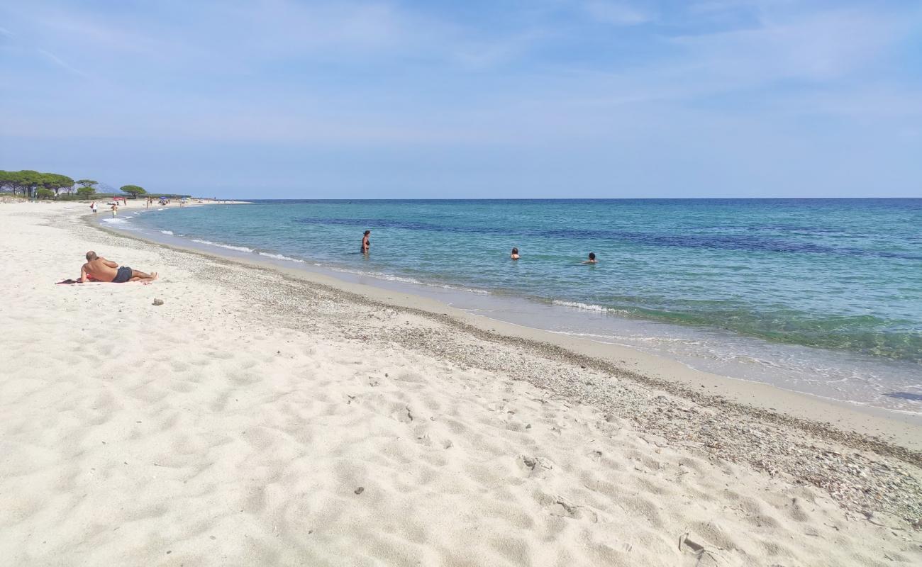 Foto af Spiaggia per Cani med lys fint sand overflade