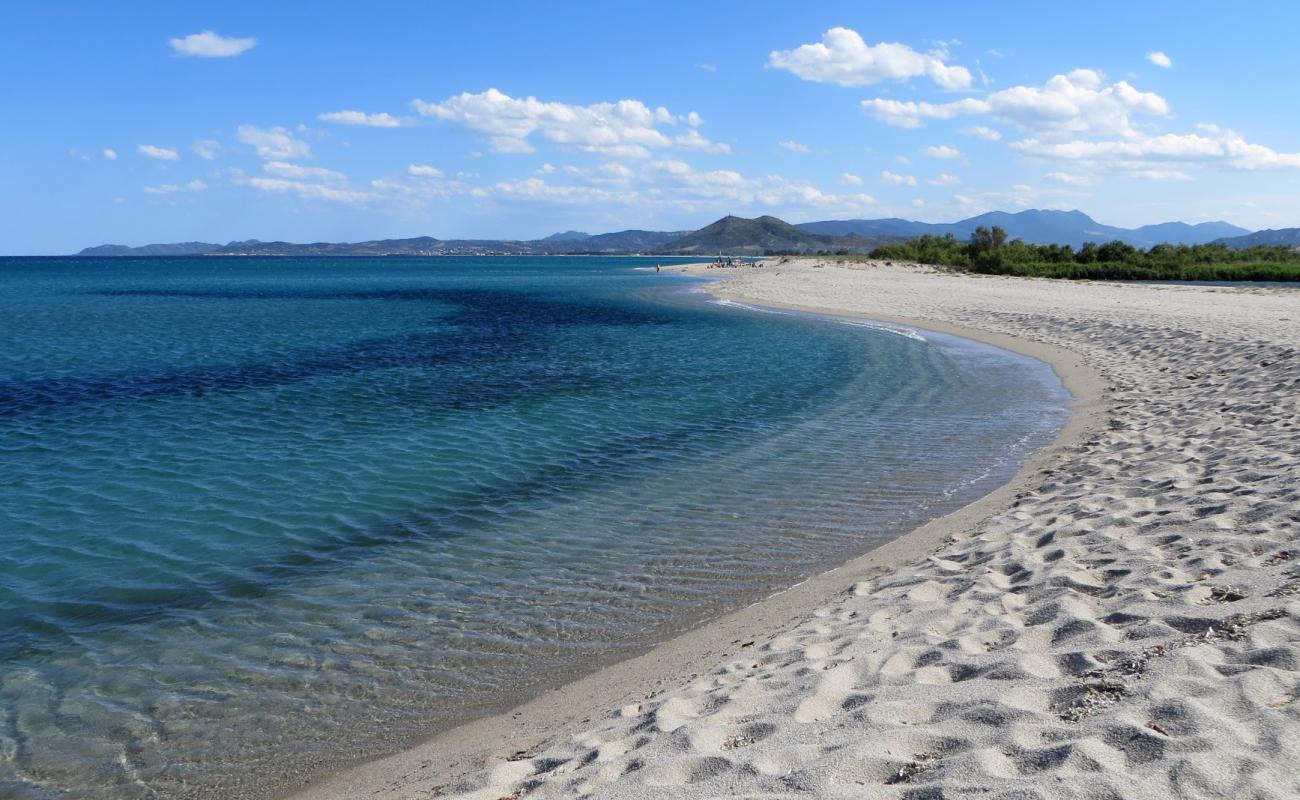 Foto af Orvile Strand med lys sand overflade