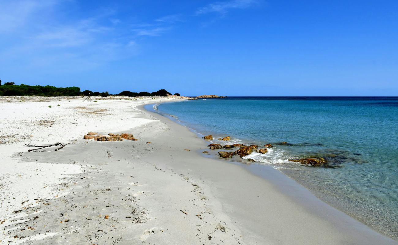 Foto af Spiaggia Cannazzellu med lys sand overflade