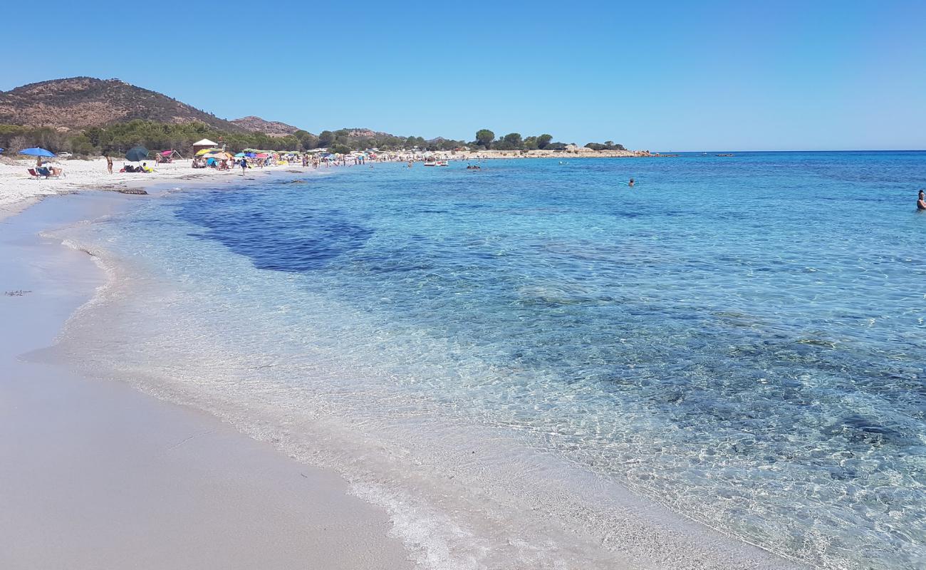 Foto af Sa Curcurica Strand med lys fint sand overflade