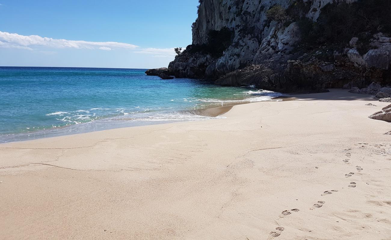 Foto af Ziu Santoru og dens smukke landskab