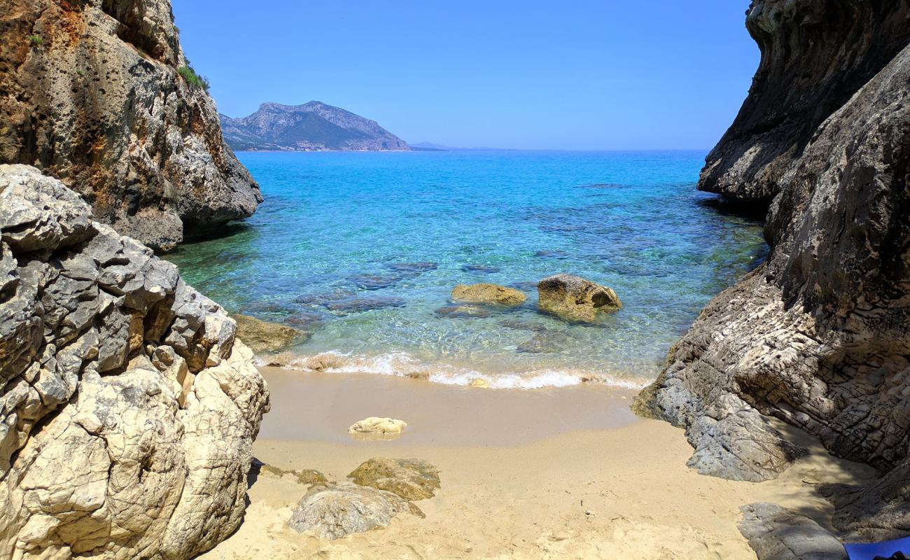 Foto af Cala di Oddoana med lys fint sand overflade