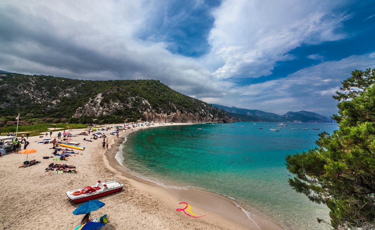 Foto af Cala Luna med let fin sten overflade