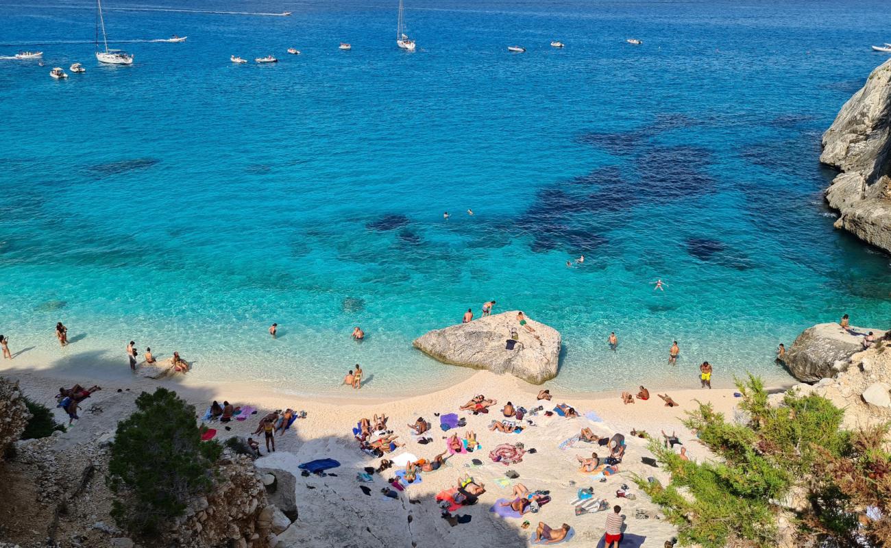 Foto af Cala Goloritze med hvid fin sten overflade