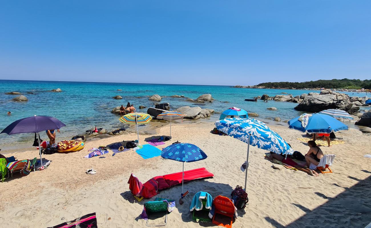 Foto af Spiaggia il Golfetto med lys sand overflade