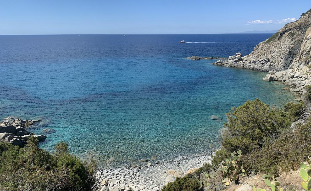 Foto af Cala Delfino Beach med sten overflade