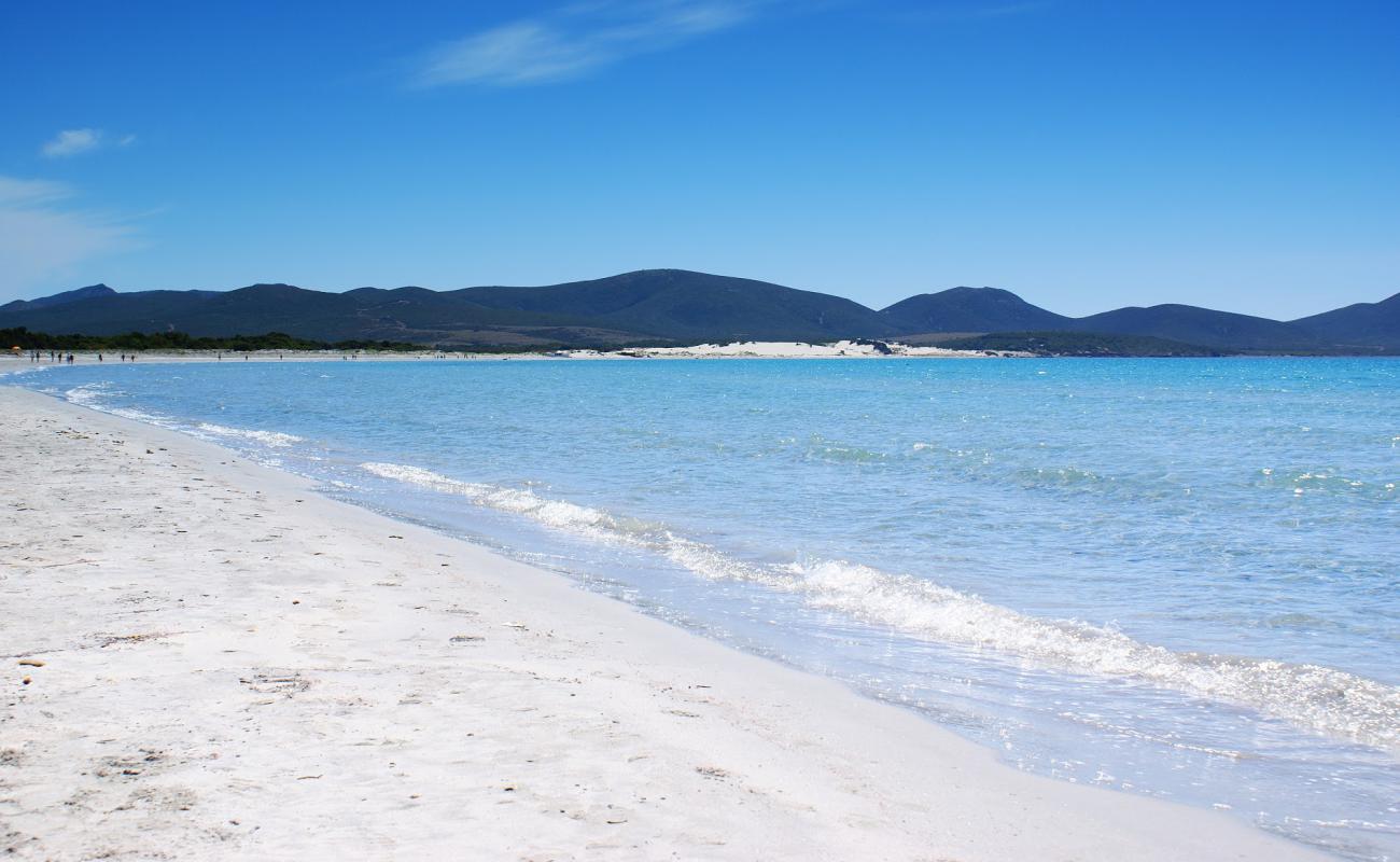 Foto af Porto Pino Strand med hvidt fint sand overflade