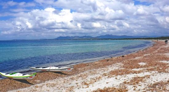 Vild Vind Sardinien Strand