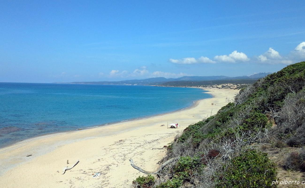 Foto af Tuppa Niedda beach med lys sand overflade