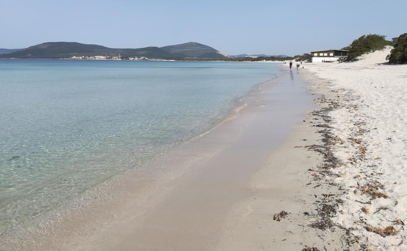 Foto af Fertilia beach med lys sand overflade