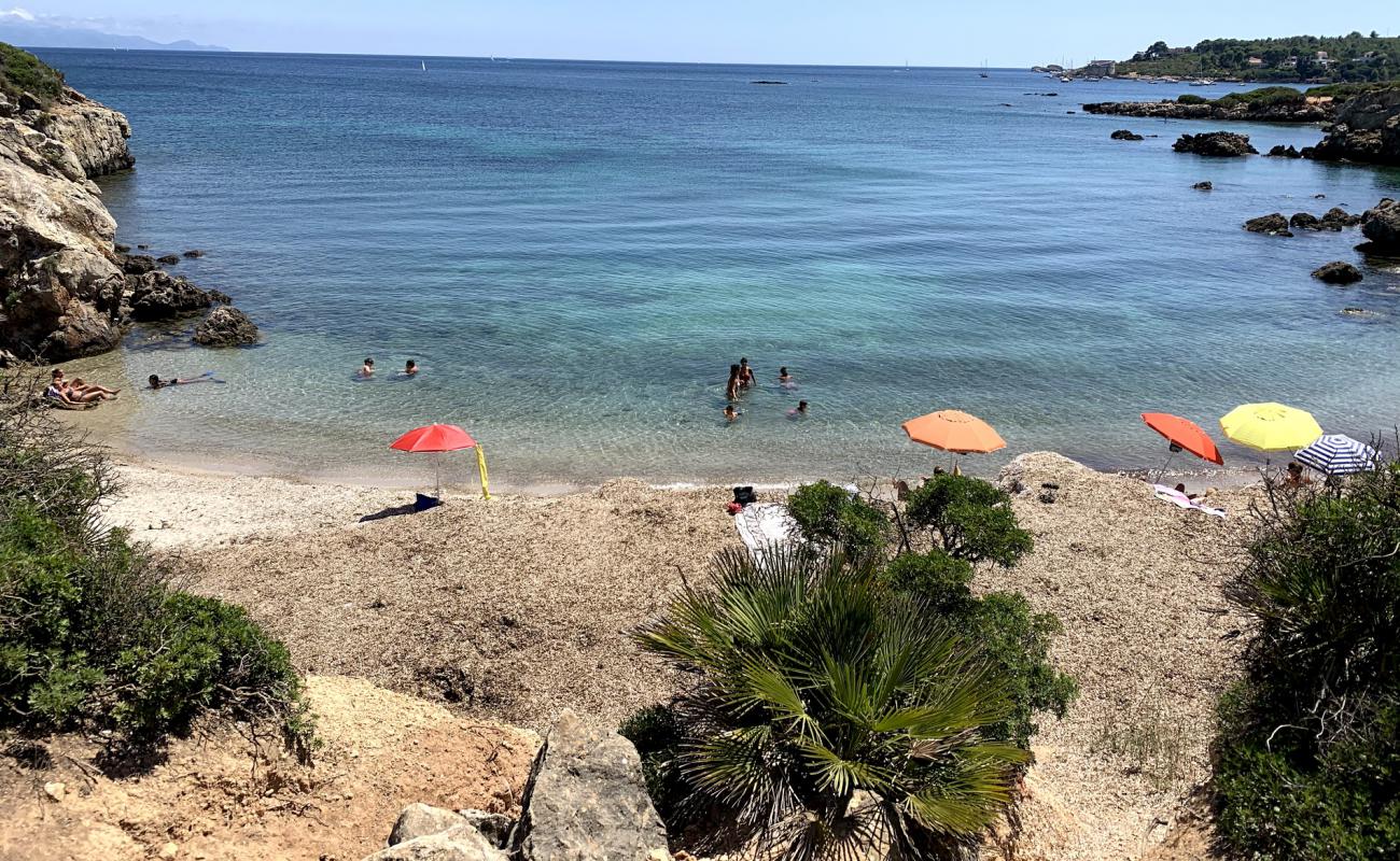 Foto af Cala dei Pini med lys sand overflade