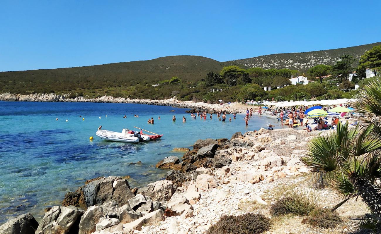 Foto af Cala Calcina med lys sand overflade