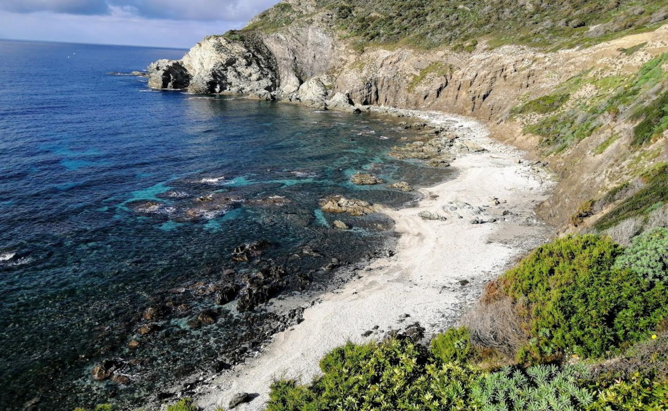 Foto af Cala di Punta Agliastroni med lyst sand & sten overflade