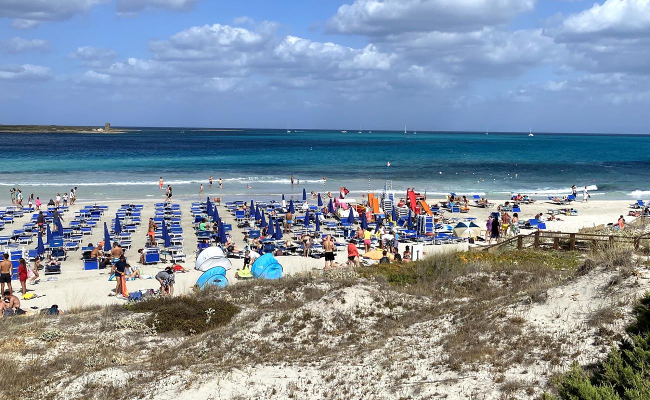 Foto af Pelosetta Strand med lys fint sand overflade