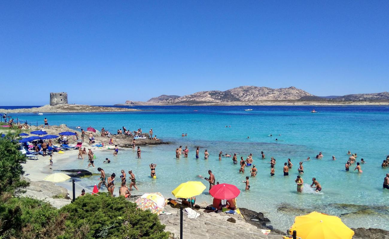 Foto af La Pelosa Strand med lys fint sand overflade