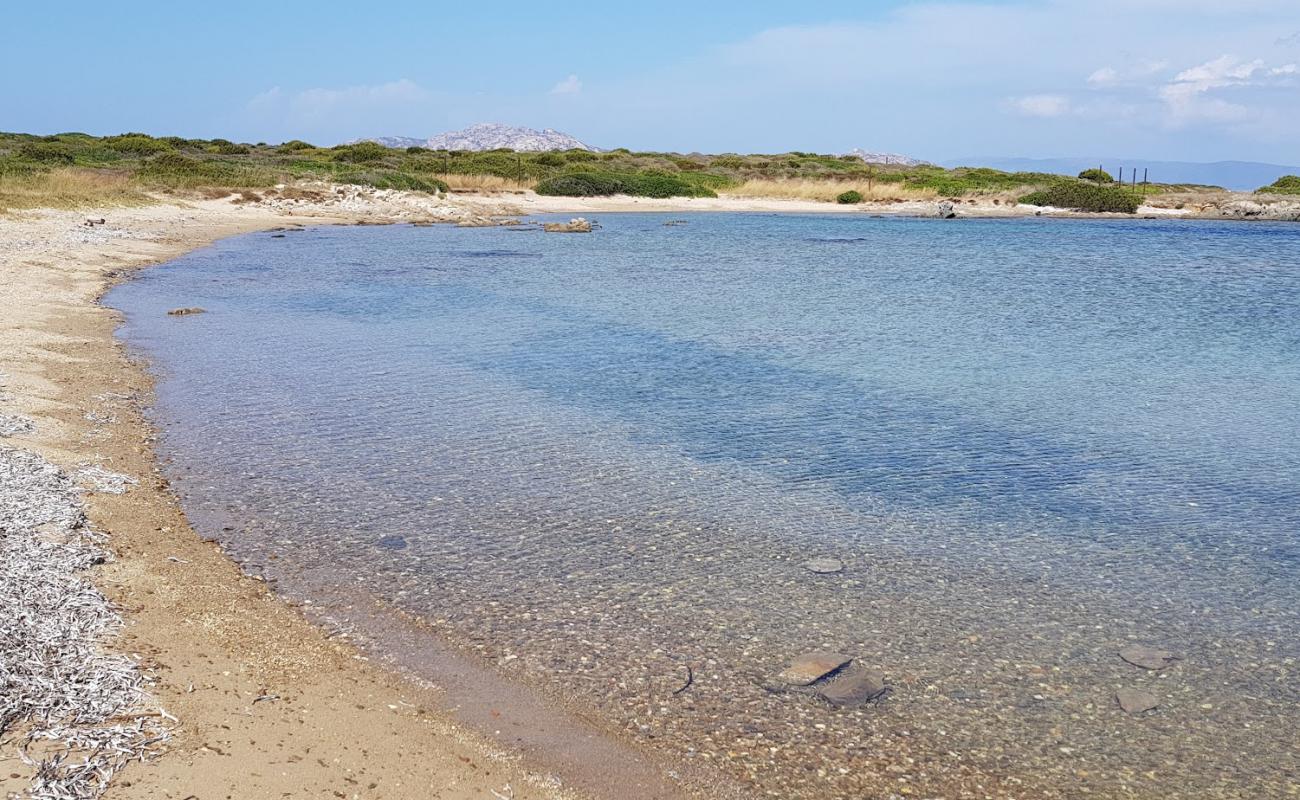 Foto af Spiaggia Punta Negra med lys sand overflade