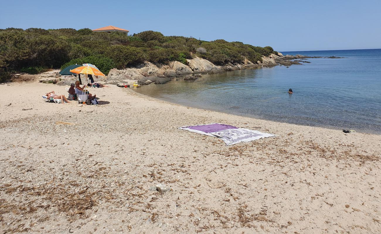 Foto af Cala Lupo med lys sand overflade