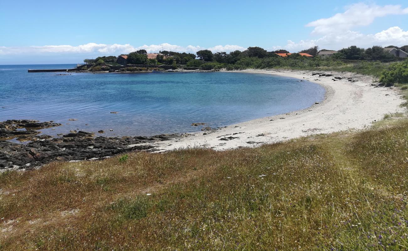 Foto af Tamerici beach med let sand og småsten overflade