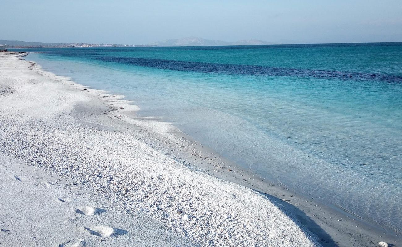 Foto af Pazzona Strand med hvid fin sten overflade