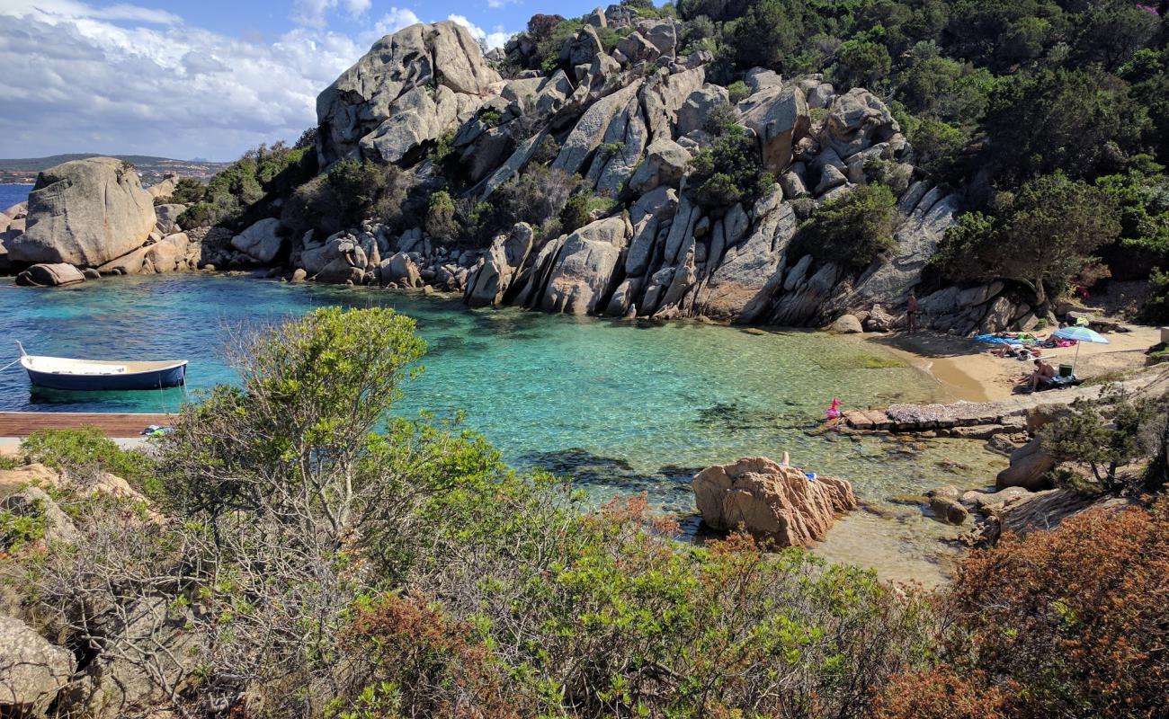 Foto af Spiaggia di Cala Martinella med brunt sand overflade