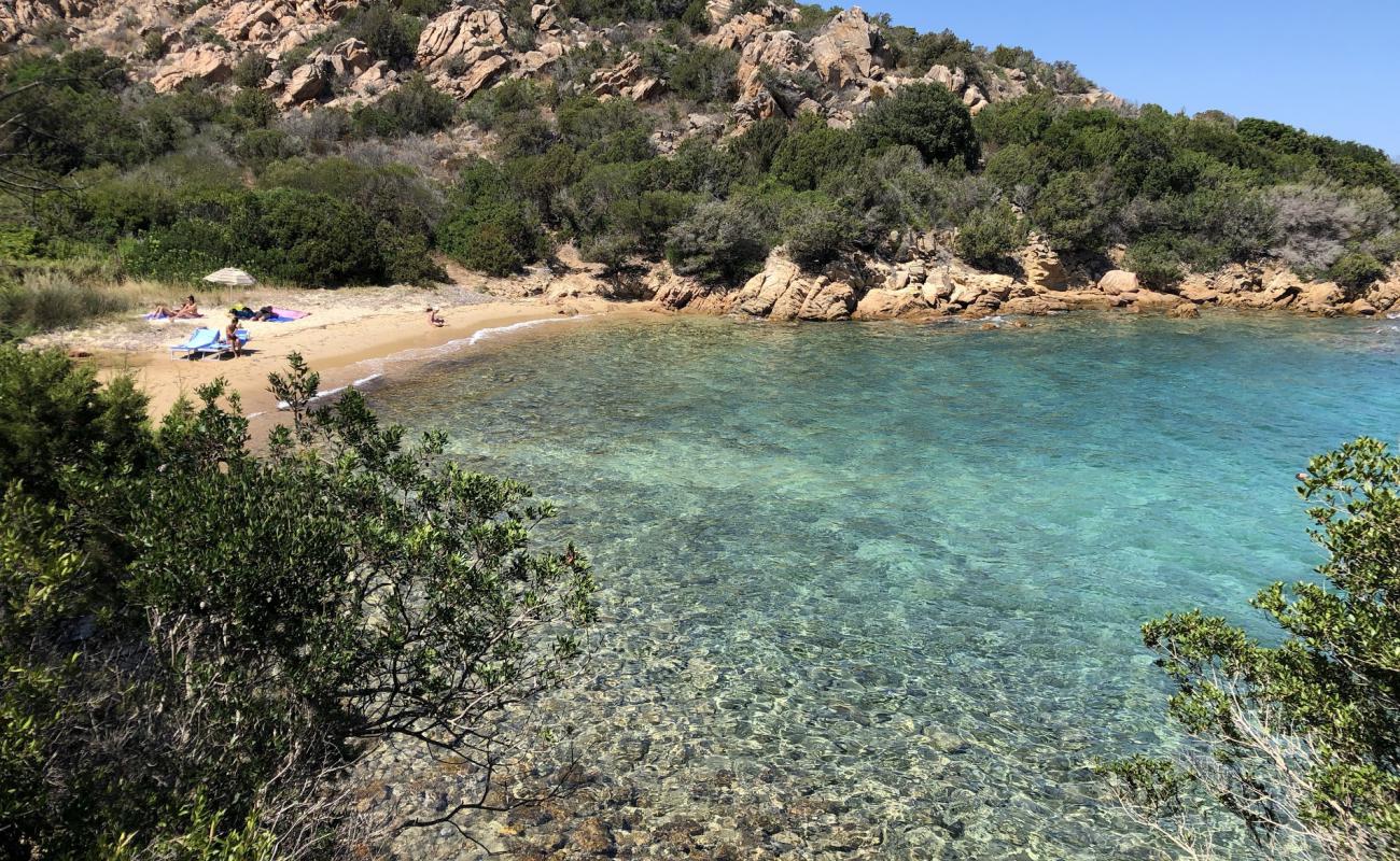 Foto af Punta Cardinalino med lys sand overflade