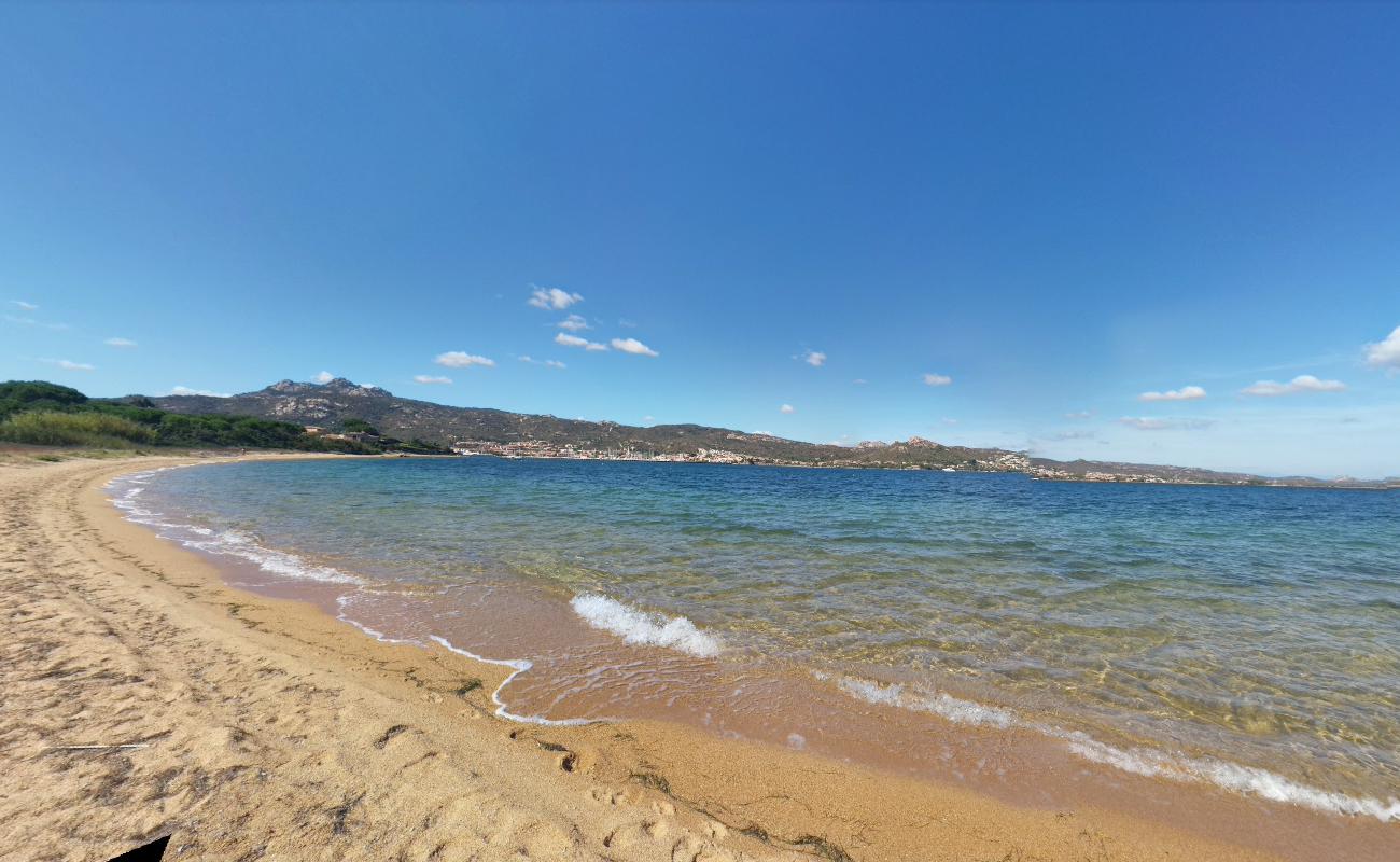 Foto af Dog Beach med blåt vand overflade