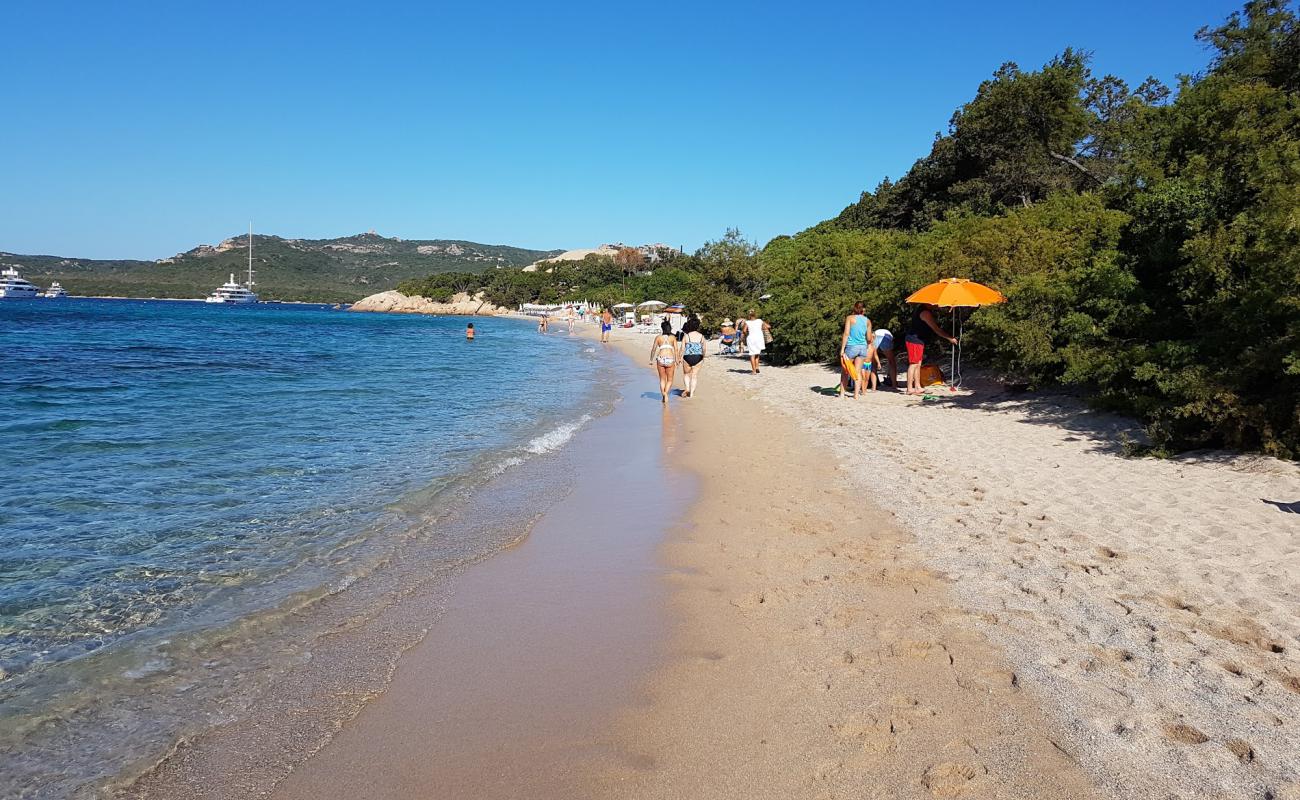 Foto af Spiaggia La Celvia med let fin sten overflade