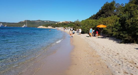 Spiaggia La Celvia