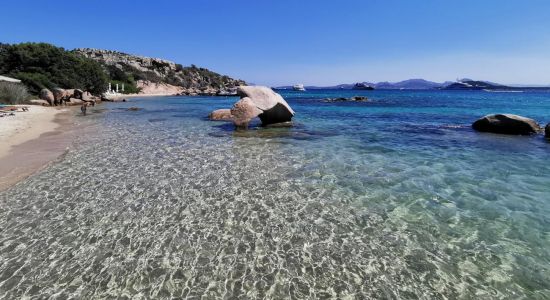 Spiaggia dell'Elefante