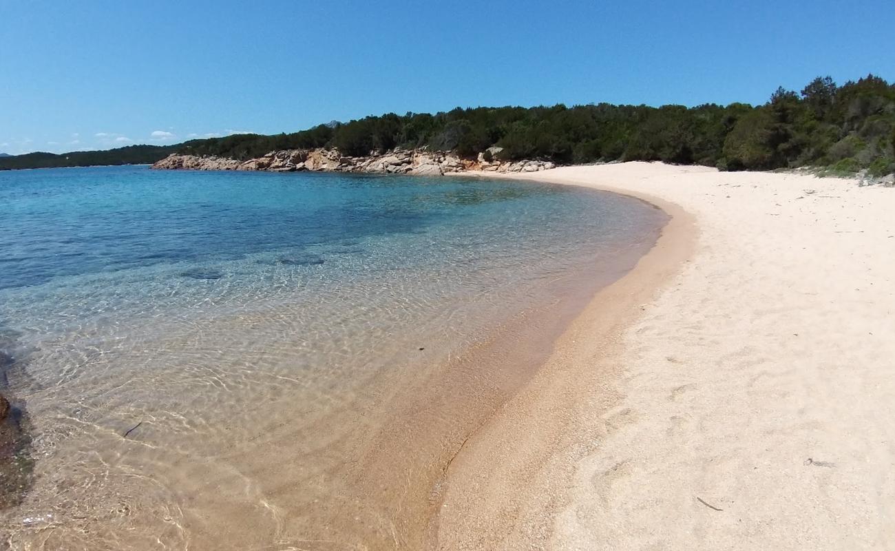 Foto af Piccola Lisciaruja Strand med lys sand overflade