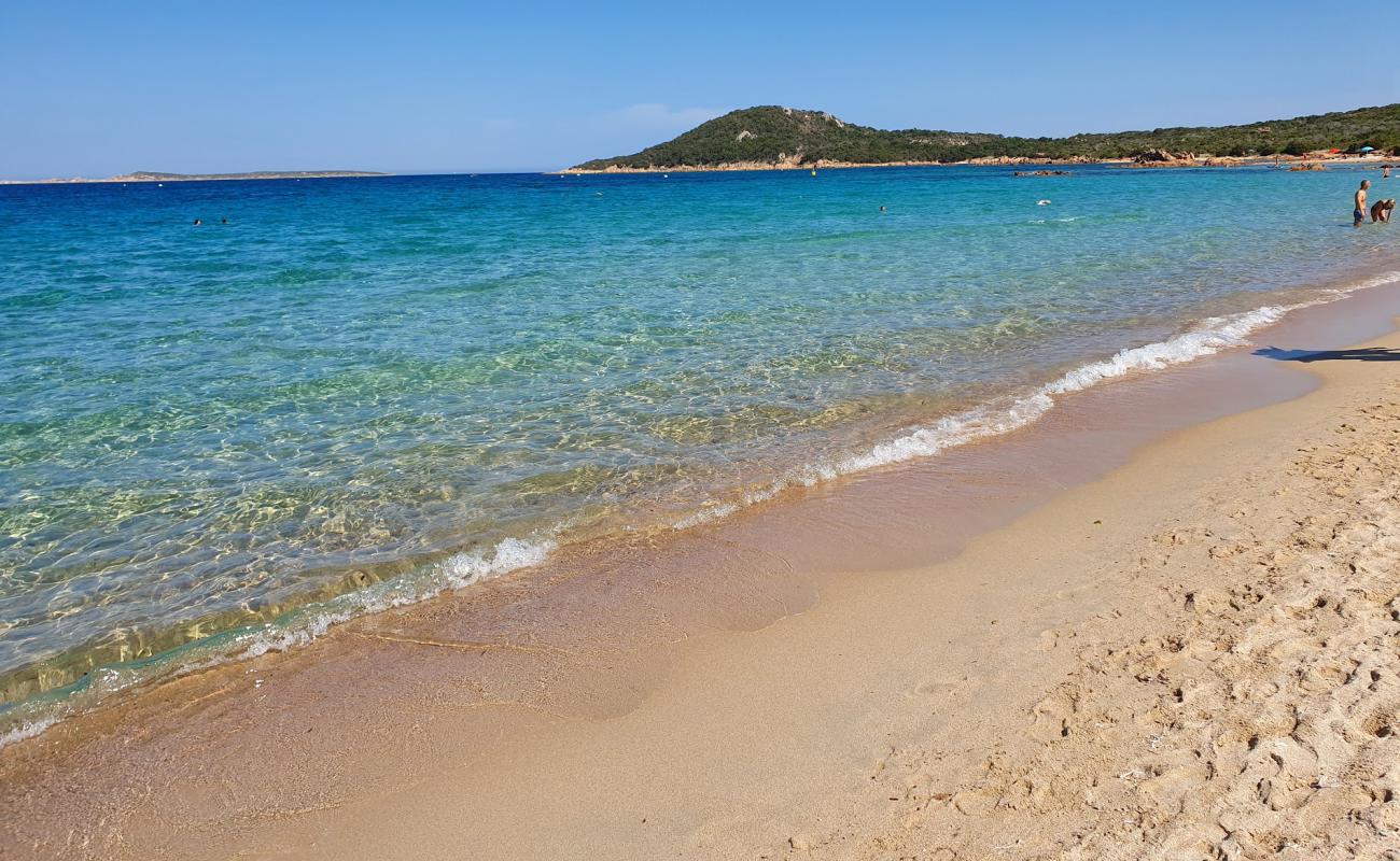 Foto af Liscia Ruja Stranden med lys fint sand overflade