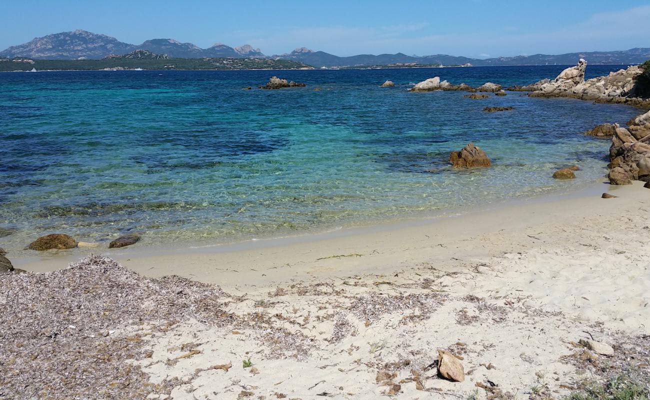 Foto af Caletta delle tartarughe med lys sand overflade