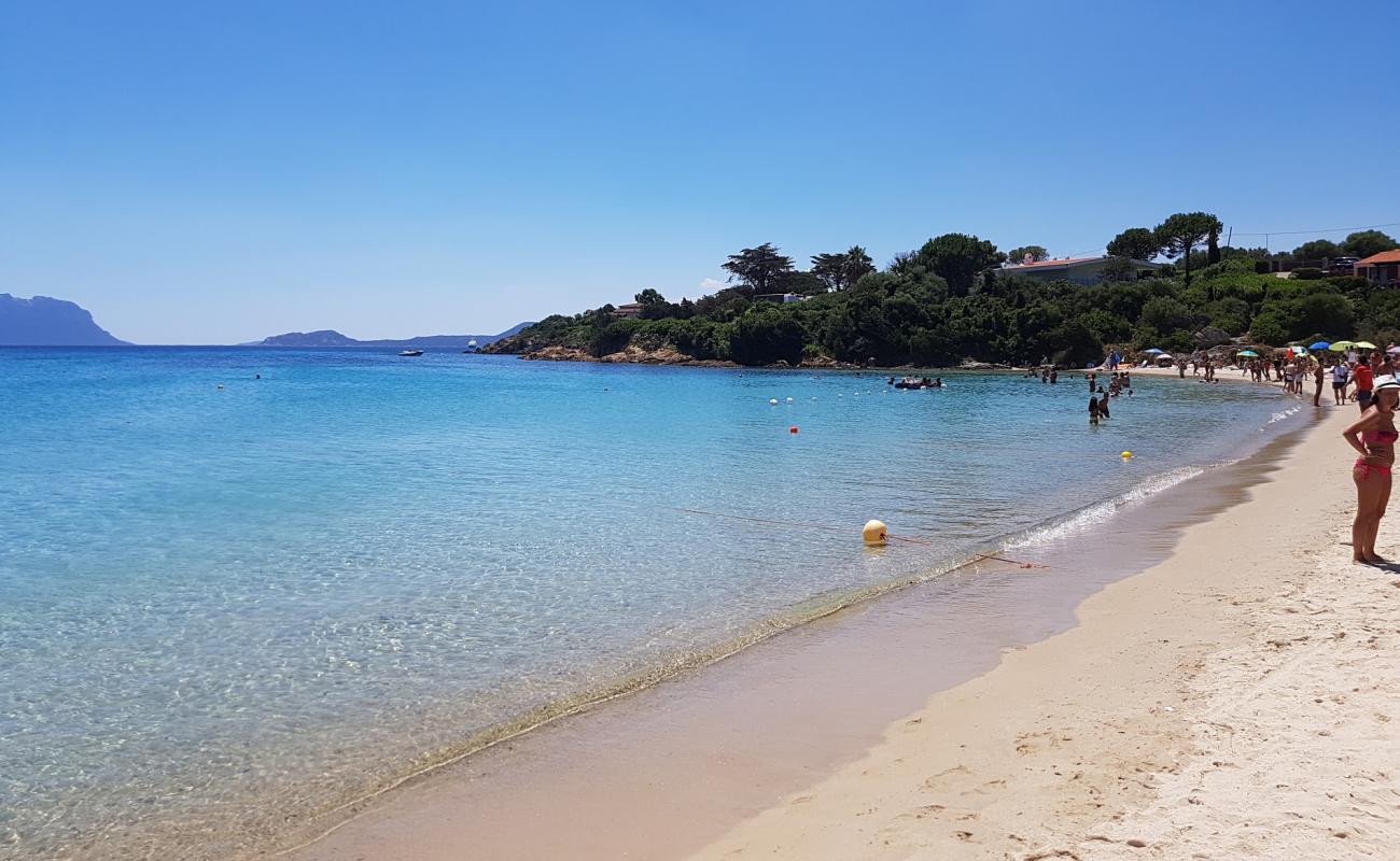 Foto af Spiaggia Cala Sassari med lys fint sand overflade