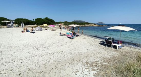 Spiaggia Terrata