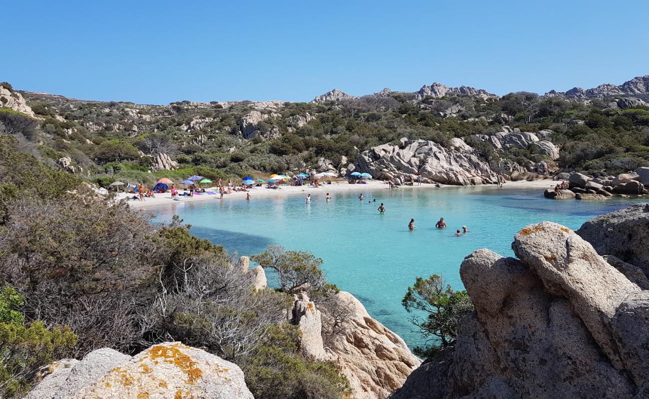 Foto af Cala Serena med lys sand overflade