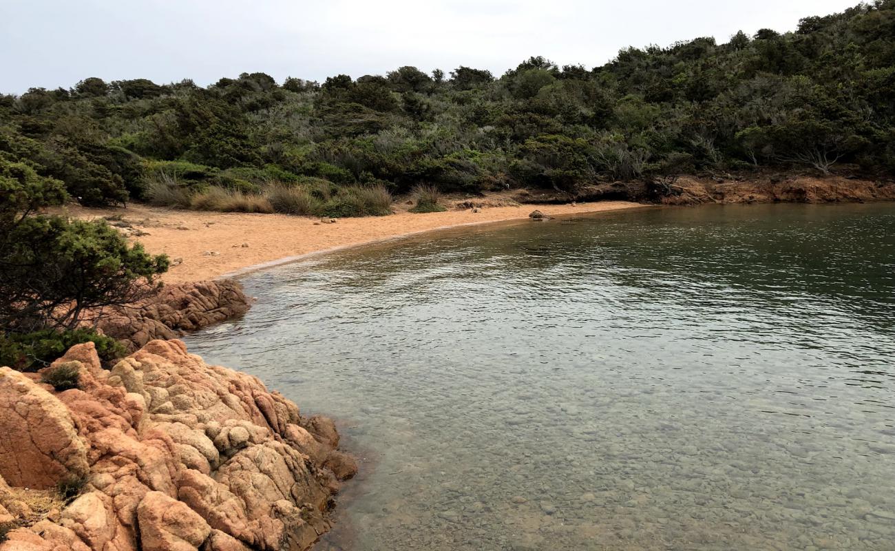 Foto af Porto Palma med lys sand overflade