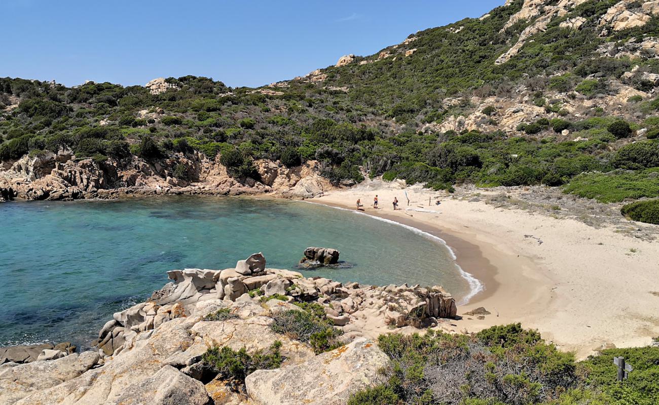 Foto af Cala D'alga beach med lys sand overflade