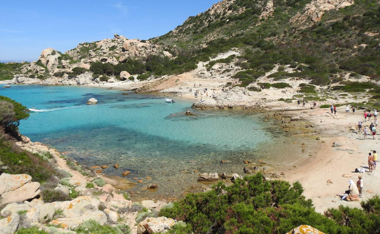 Foto af Cala Canniccio beach med lys sand overflade