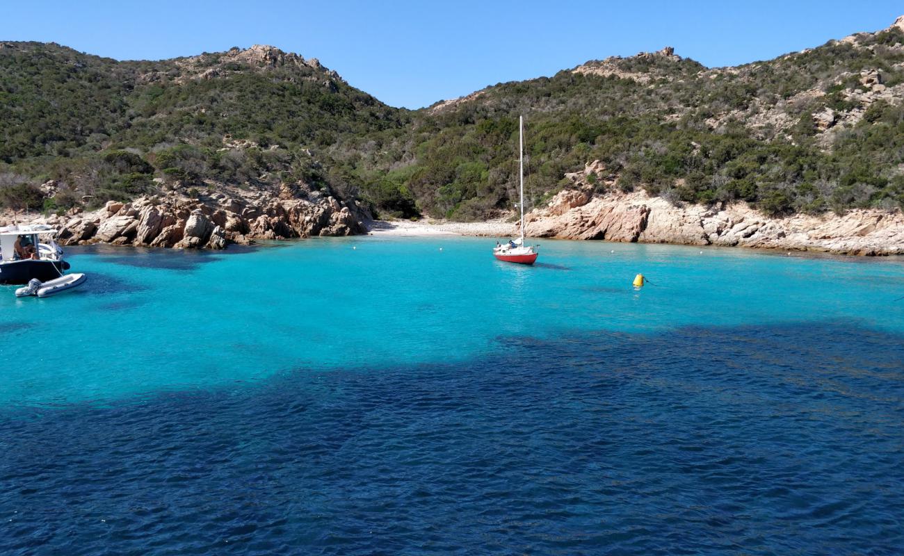 Foto af Cala Dell'amore med lys sand overflade