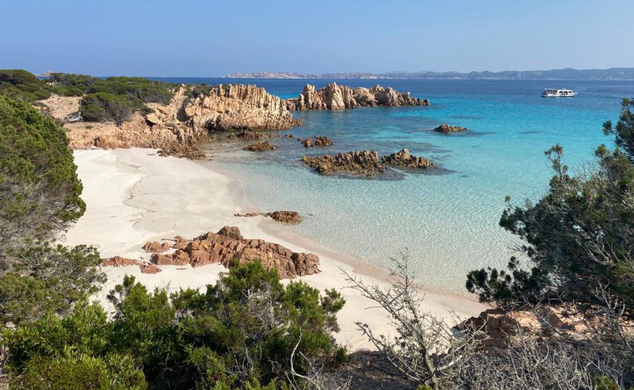 Foto af Spiaggia Rosa med lys fint sand overflade